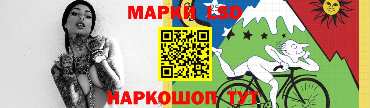 Бошки Шишки Батайск