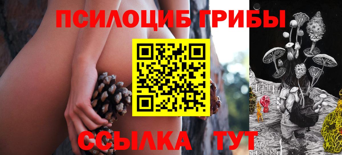 Галлюциногенные грибы Psilocybine cubensis  Галлюциногенные грибы ЛСД  Батайск  Вход с VPN 